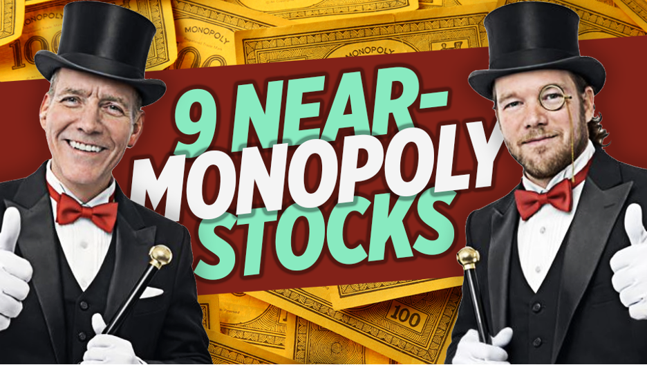 Nine Near Monopoly Stocks
